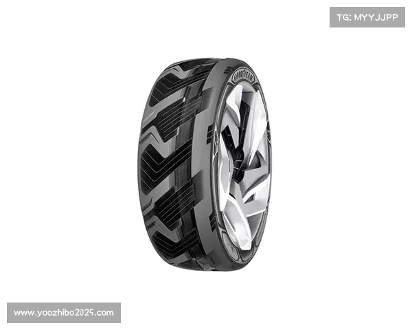 创新篮球鞋科技助力性能提升与环保可持续发展